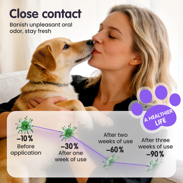 FreshPet Dental Care Spray