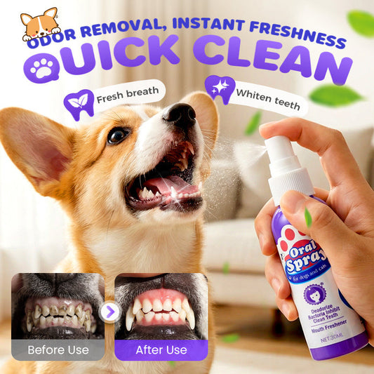 FreshPet Oral Spray